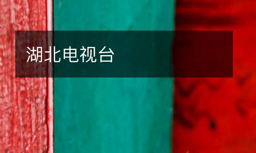 湖北電視臺(tái)