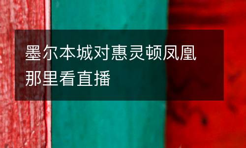 墨爾本城對(duì)惠靈頓鳳凰那里看直播