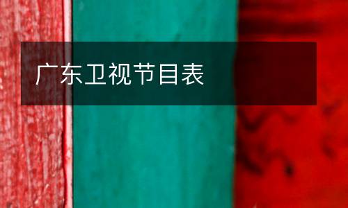 廣東衛(wèi)視節(jié)目表