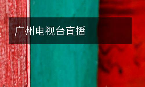 廣州電視臺(tái)直播