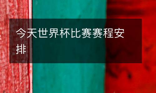 今天世界杯比賽賽程安排