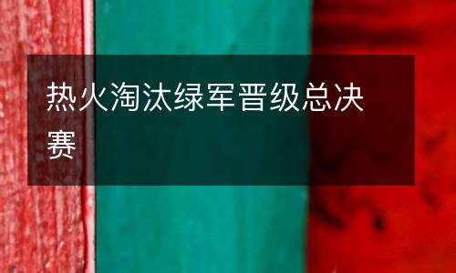 熱火淘汰綠軍晉級(jí)總決賽