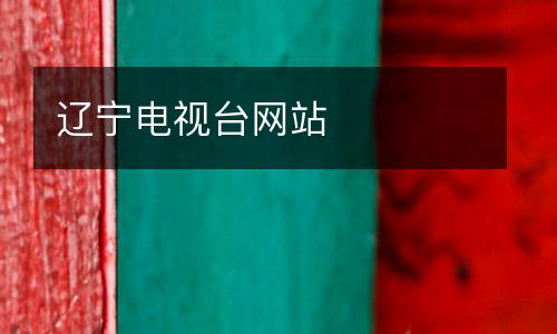 遼寧電視臺(tái)網(wǎng)站