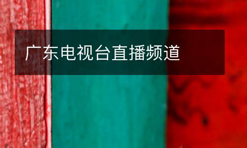 廣東電視臺(tái)直播頻道