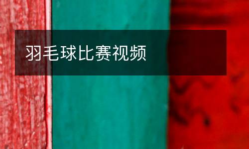 羽毛球比賽視頻