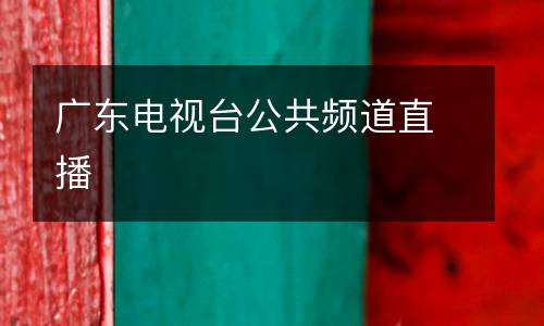 廣東電視臺(tái)公共頻道直播